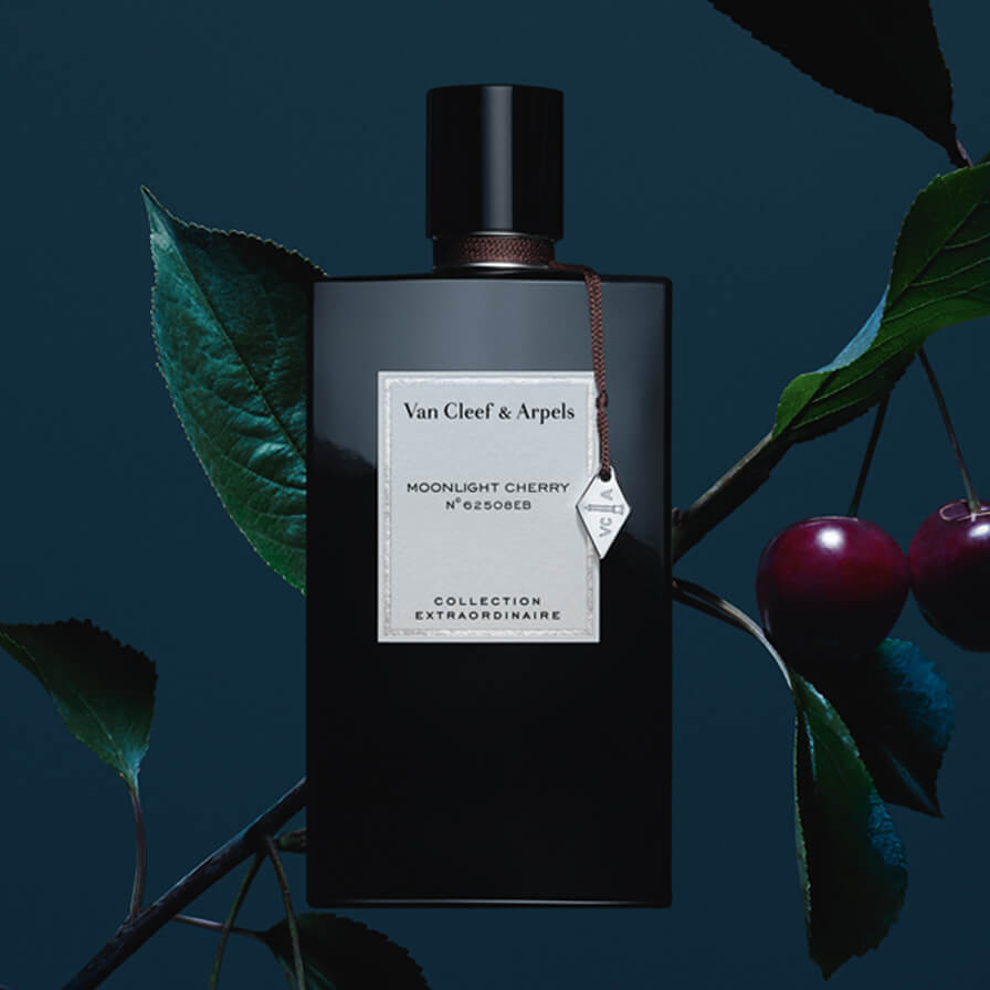Collection extraordinaire moonlight cherry Collection extraordinaire moonlight cherry